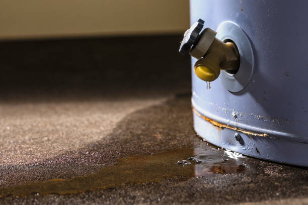 Best Emergency water damage restoration  in Elleale, ND
