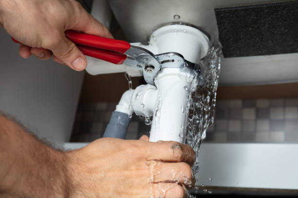 Best Carpet water damage restoration  in Elleale, ND