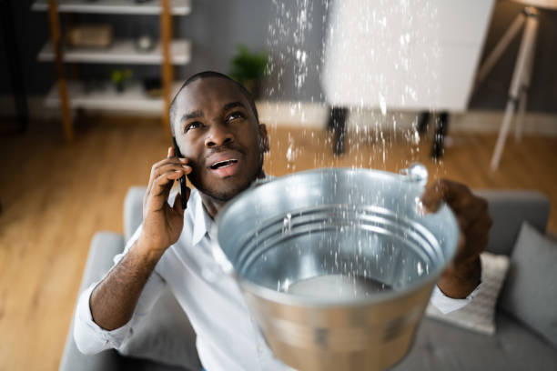Best Sewage cleanup and water damage restoration  in Elleale, ND