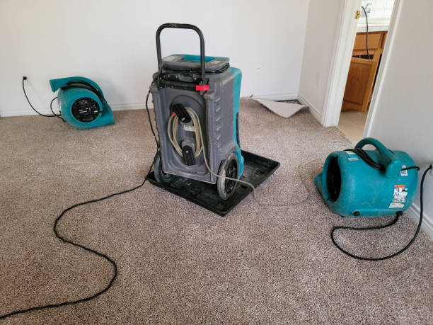 Best Local water damage restoration  in Elleale, ND
