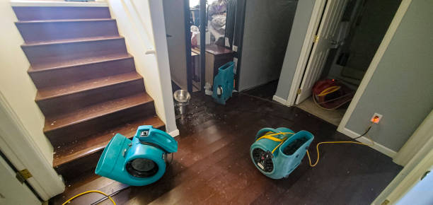 Best Emergency water damage restoration  in Elleale, ND