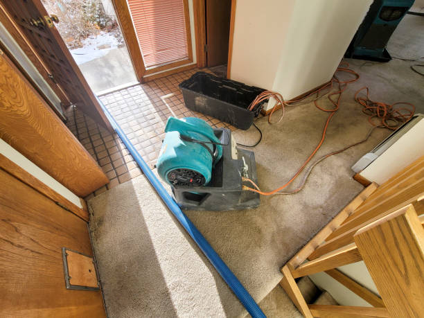 Best Flood damage cleanup  in Elleale, ND