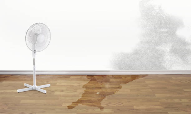 Best 24-hour water damage restoration  in Elleale, ND