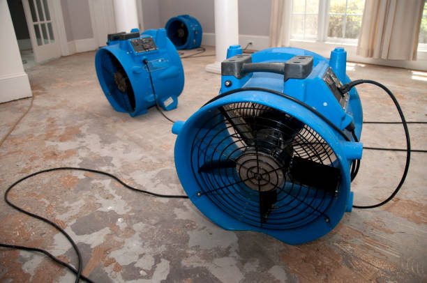 Best Carpet water damage restoration  in Elleale, ND