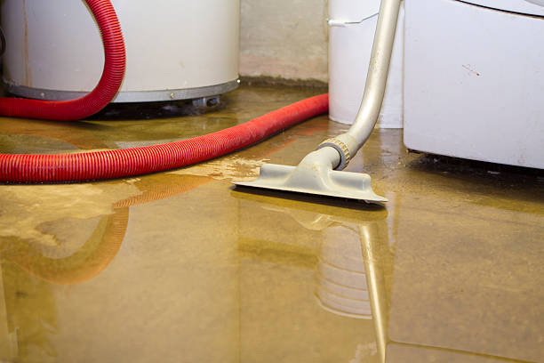 Best Local water damage restoration  in Elleale, ND