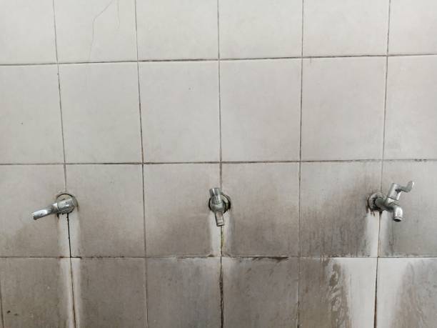  Elleale, ND Water damage restoration Pros