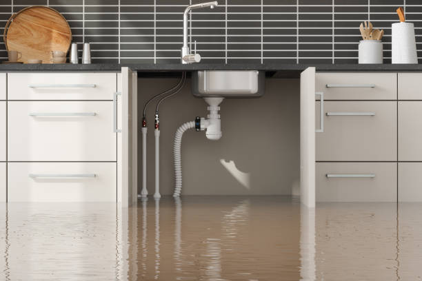 Best Water damage restoration company  in Elleale, ND