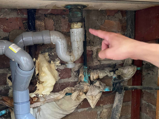 Best Flood restoration services  in Elleale, ND