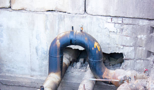 Best Water damage restoration near me  in Elleale, ND
