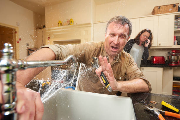 Best Flooded house restoration  in Elleale, ND